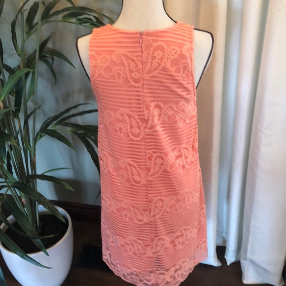 Coral lace dress - Picture 3 of 6